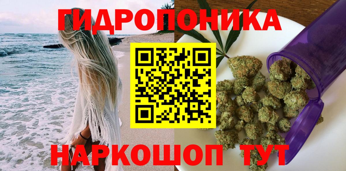 Новокубанск  Шишки марихуана план  Марихуана VHQ  Вход с VPN  Марихуана Bruce Banner 
